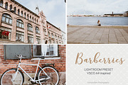 Desktop Lightroom Presets BARBERRY, an Action Add-On by Victoria Bee Presets (Thumbnail 13 of 14)