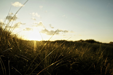 Soulac sur mer i featuring clouds, sunset, and grass