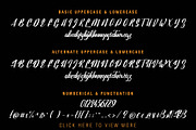 Lavalette Script, a Script Font by SemutHitam Creative (Thumbnail 9 of 9)