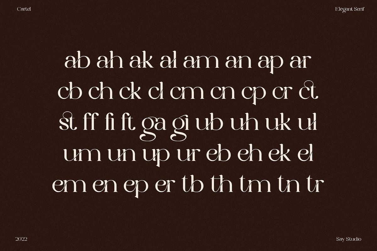 The Cartel - Elegant Serif Font, a Serif Font by Say Studio (Photo 11 of 19)