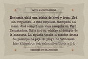 Revslonia, a Serif Font by graphicook (Thumbnail 5 of 10)