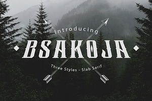Bsakoja, a Slab Serif Font by Arterfak Project