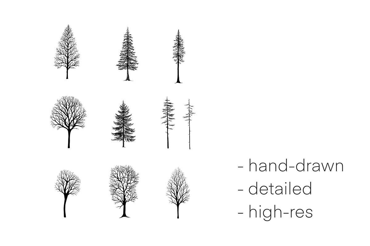 Photoshop Winter Tree Brushes, a Brush Add-On by buntegalerie (Photo 3 of 3)