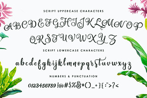 Amastery Font DUO And Extras