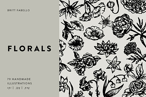 Hand-Illustrated Floral Vectors