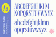 Ragitan Bold Tall Serif Display, a Serif Font by timelesstype.co (Thumbnail 8 of 20)