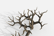 Aquarium Snag Banches V2, an Environmental 3D Model by AndrewWhite (Thumbnail 5 of 8)