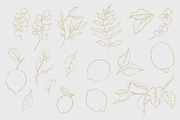Lemons watercolor clipart, a Decorative Illustration by Nebbia (Thumbnail 2 of 5)