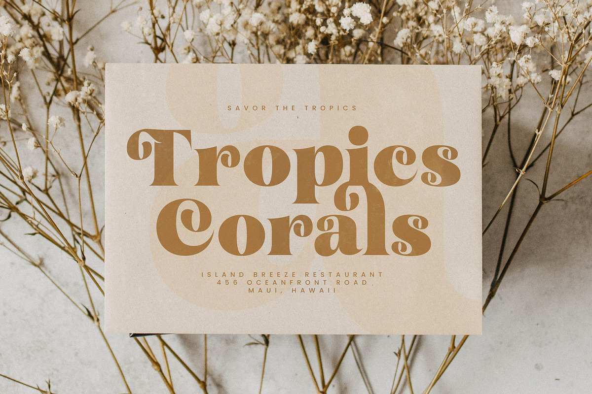 Garden Rosila Modern Retro Serif, a Serif Font by timelesstype.co (Photo 13 of 20)