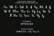Princes Clipart, a Script Font by FreshTypeINK (Thumbnail 4 of 7)