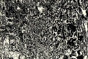 Surface Melt - Abstract Textures, a Texture Graphic by Huebert World (Thumbnail 9 of 10)