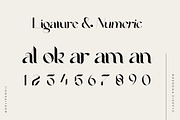 10+ MODERN FONT BUNDLE SALE, a Serif Font by delipensil (Thumbnail 6 of 27)