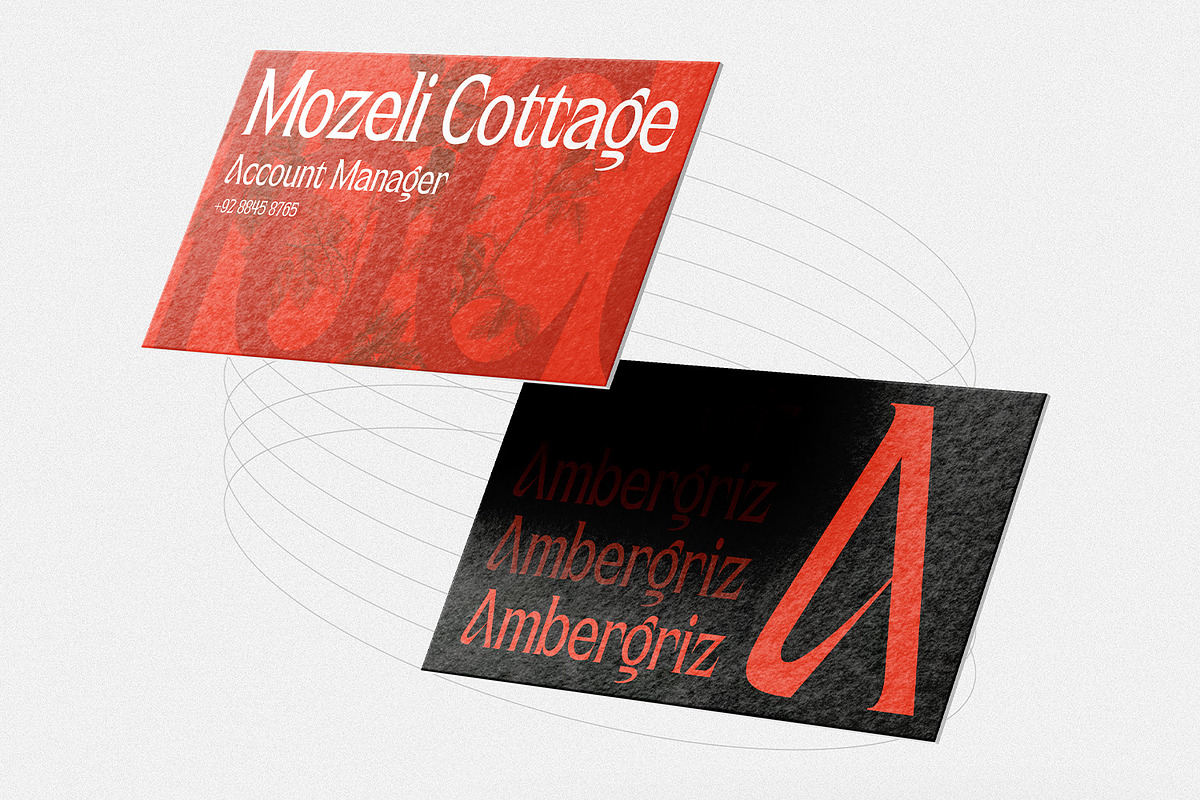 Astheric – Modern Ligature Serif, a Serif Font by Variatype (Photo 3 of 10)