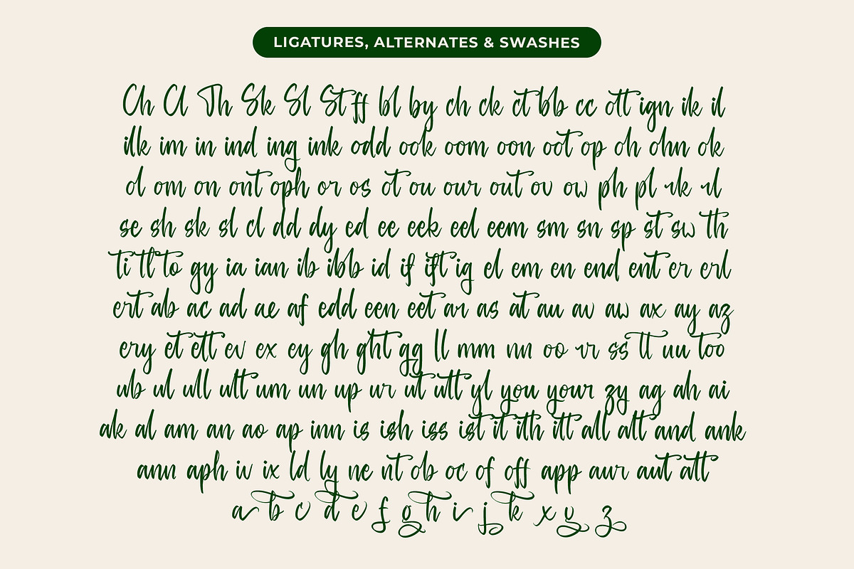 Baghera Thenetta Modern Handwritten, a Script Font by stylishtype.co (Photo 18 of 20)