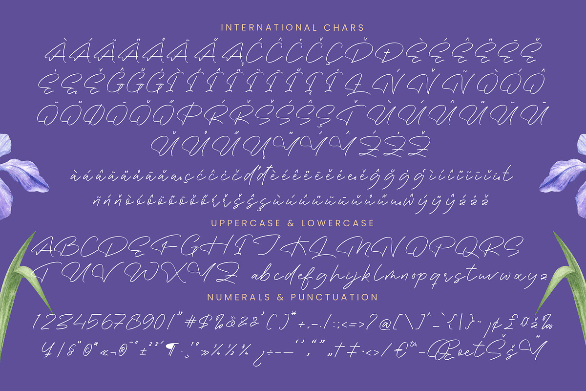 Gafisha Lindiaki Stylish Handwritten, a Script Font by stylishtype.co (Photo 17 of 19)