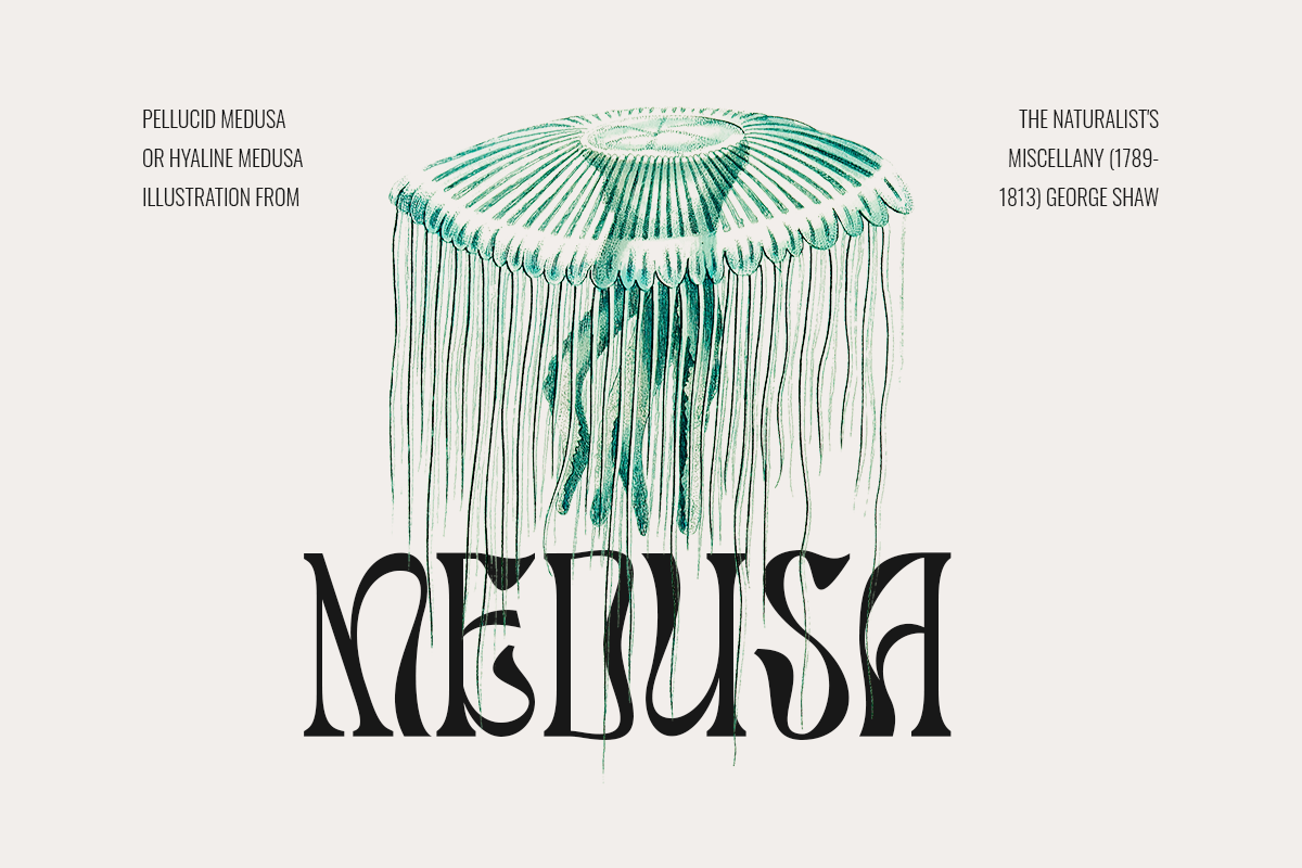 Salty Mussy - Quirky Twisted Display, a Sans Serif Font by Dharmas Foundry (Photo 2 of 15)
