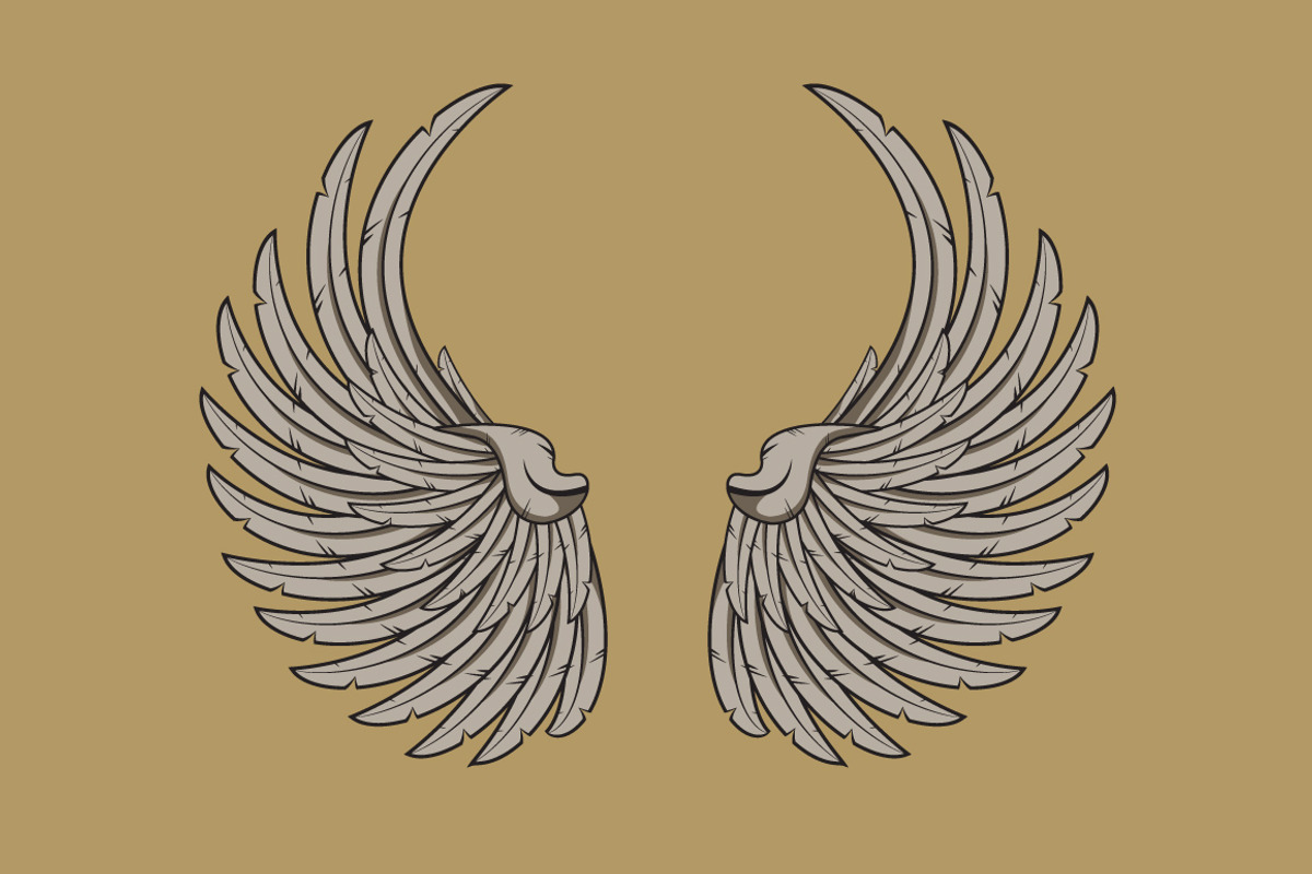 160 Pairs of Vector Wings, an Object Graphic by Damien (Photo 6 of 17)