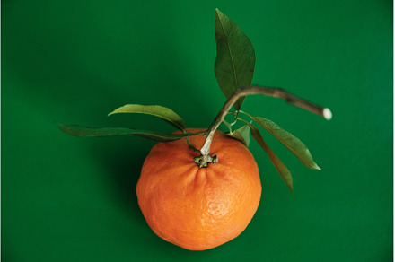Ripe tangerine with leaves isolated, a Food & Drink Photo by Rohan Photography