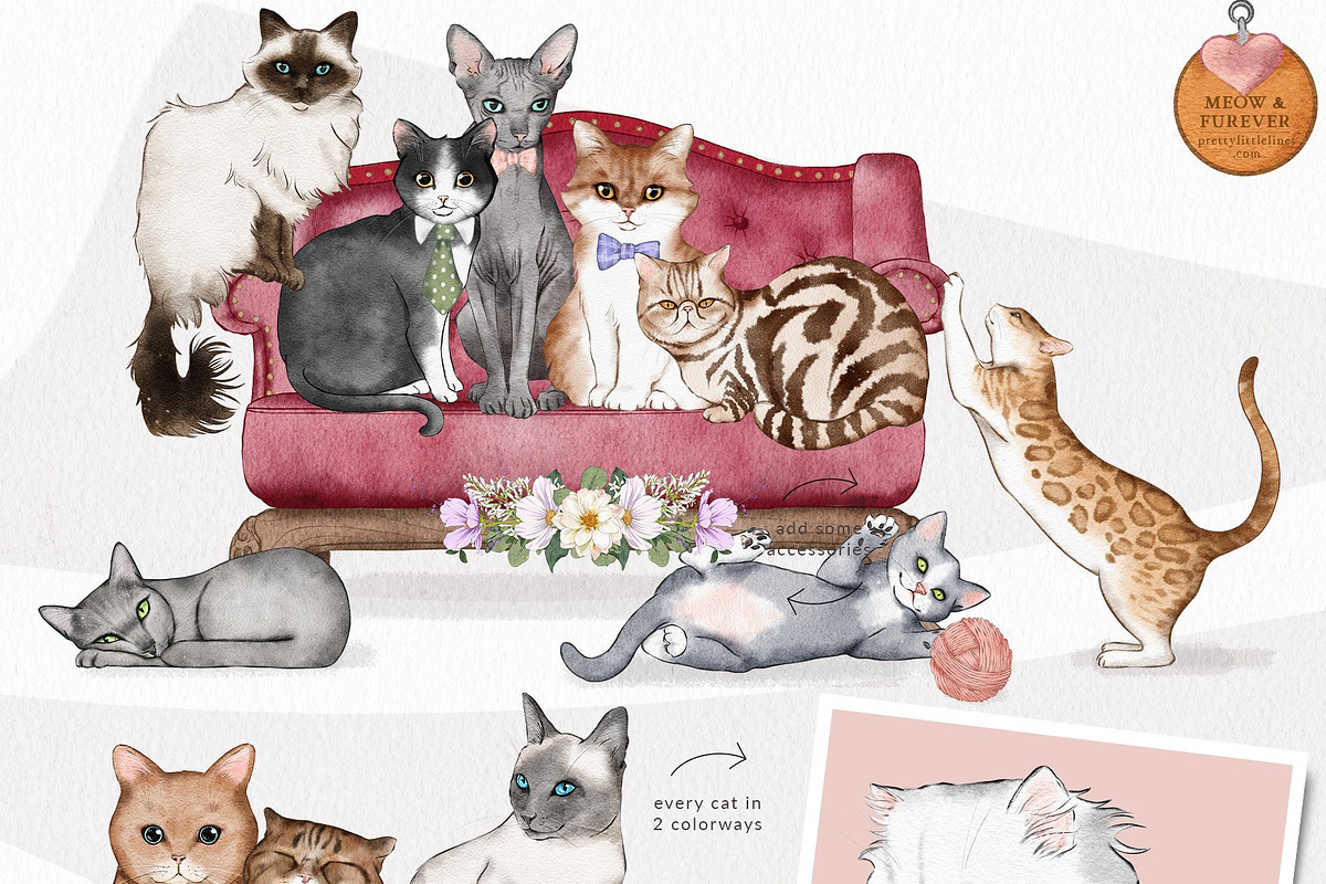 Pet Illustrations Patterns & Borders, a Graphic by Pretty Little Lines (Photo 16 of 29)