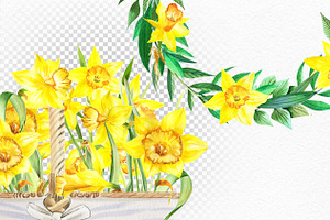 Watercolor Sunny Daffodils