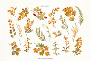 Autumn sentiment - vector clipart, a Decorative Illustration by Vasmila (Thumbnail 10 of 14)