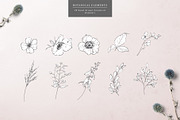 Botanical Graphic Collection, an Illustration by Twigs and Twine (Thumbnail 2 of 10)