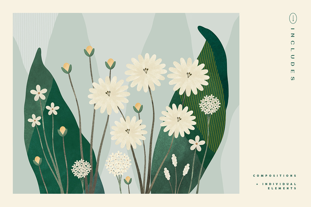 Painted Flowers and Compositions, an Object Graphic by Basia Stryjecka (Photo 3 of 19)