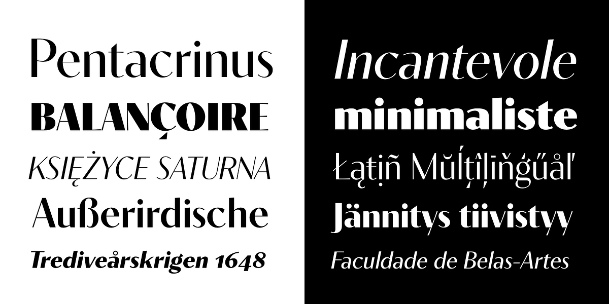 Contralto, a Sans Serif Font by Synthview Type Design (Photo 2 of 10)