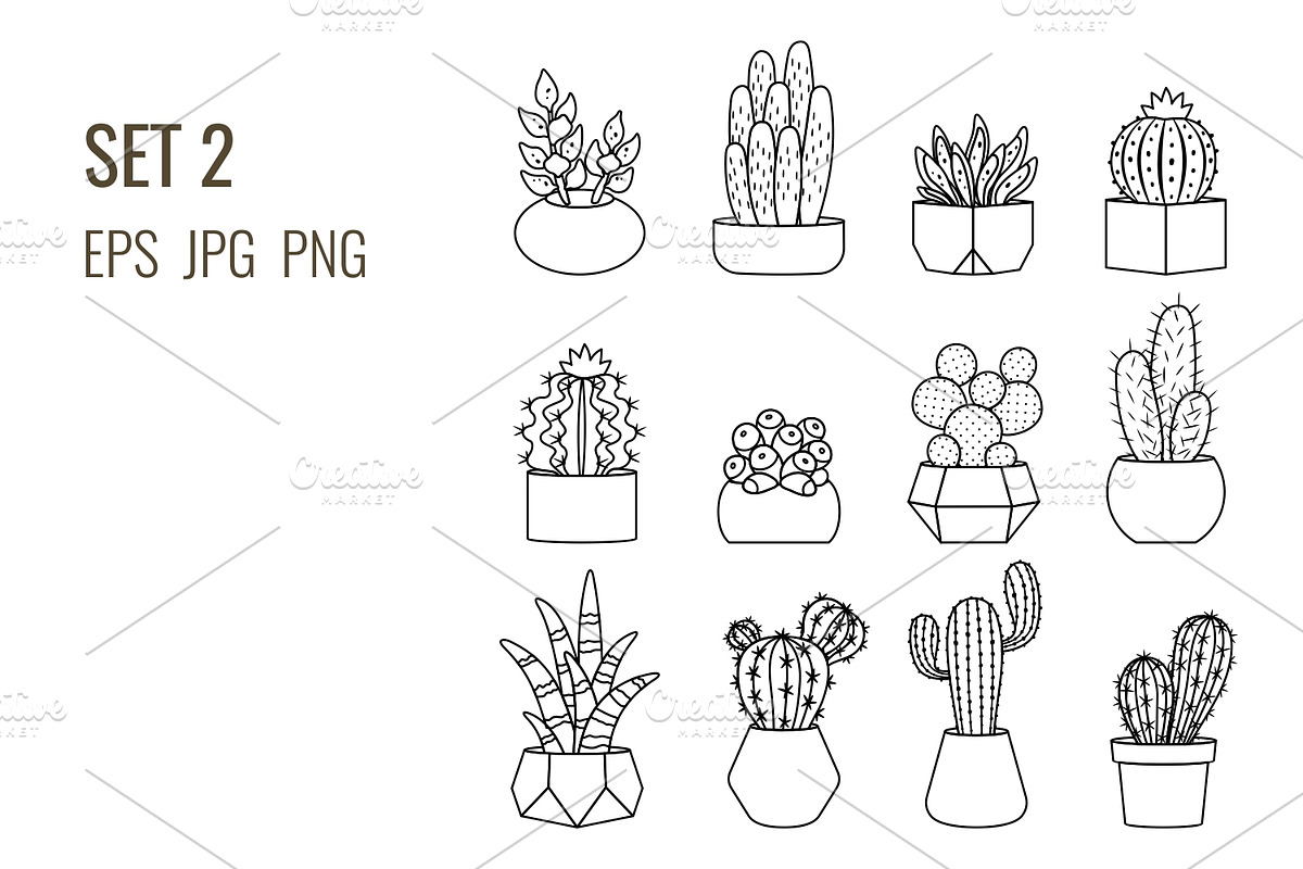 Outline cacti and succulents set, a Decorative Illustration by Primula`s shop (Photo 3 of 3)