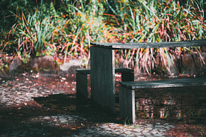 Wet picnic table in garden, an Architecture Photo by SkyNext