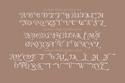 Fashory Vilago Font, a Serif Font by TypeClassHeroes (Thumbnail 7 of 10)