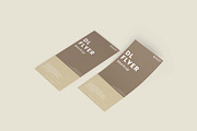 DL Flyer Mockup, an Advertising Mockup by tiyasprabawa (Thumbnail 2 of 5)