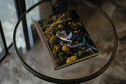 Drone Photography, a Nature Photo by Picturesque Stories (Thumbnail 3 of 6)