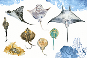 Watercolour Ray Set, an Education Illustration by Tati Bordiu (Thumbnail 3 of 6)