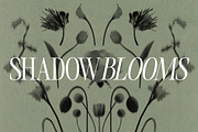 Shadow Blooms, an Object Graphic by Dina Mae (Thumbnail 5 of 10)