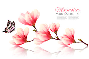 Beautiful Pink Magnolia Background