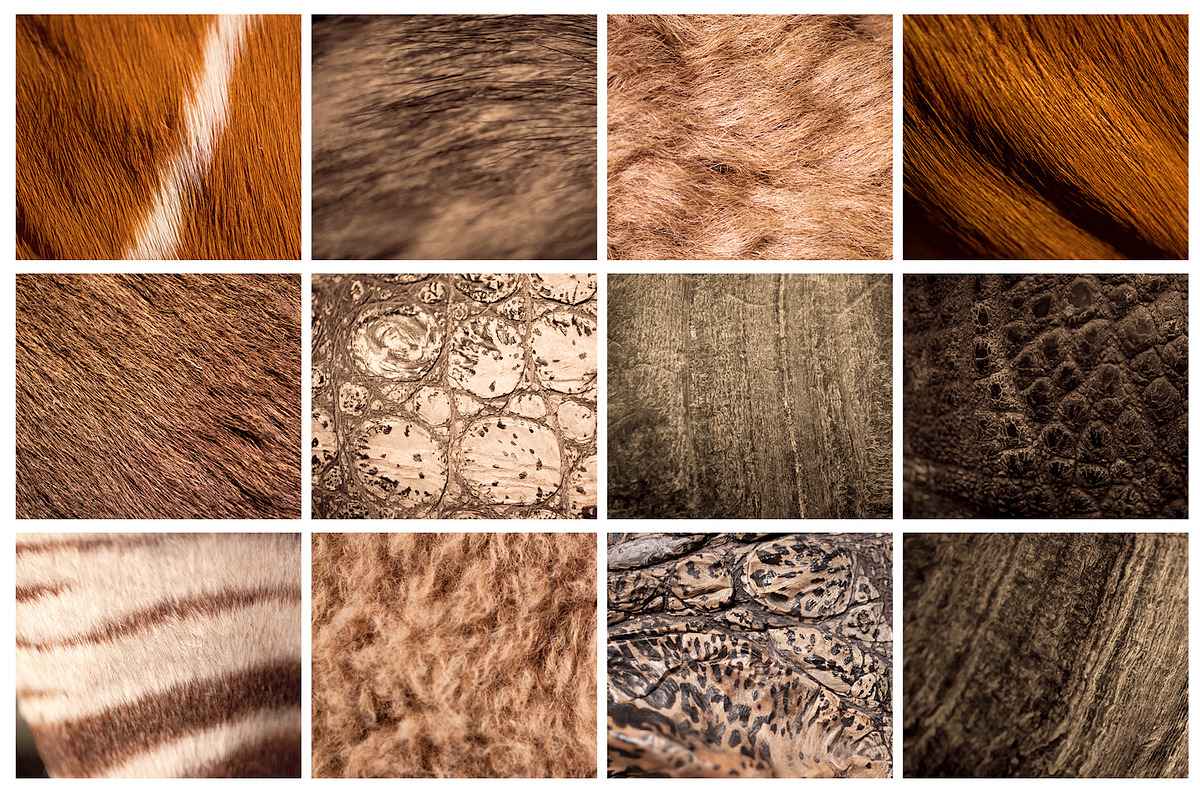 35 Animal Skin Background Texture, a Texture Graphic by Pixeria (Photo 2 of 3)