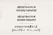 Tokyo Brush & SVG Font, a Handwritten Font by Cruzine (Thumbnail 5 of 7)