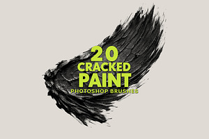 20 Cracked Paint Brushes