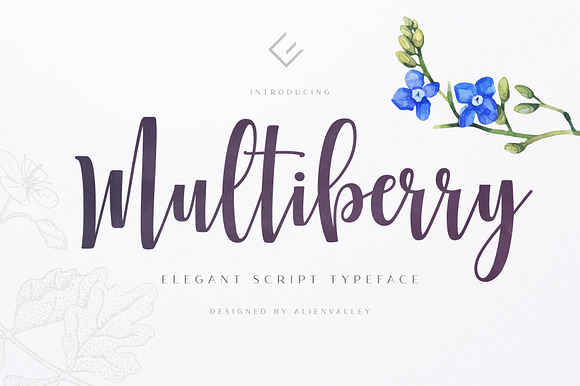 Multiberry - Script Font preview 8
