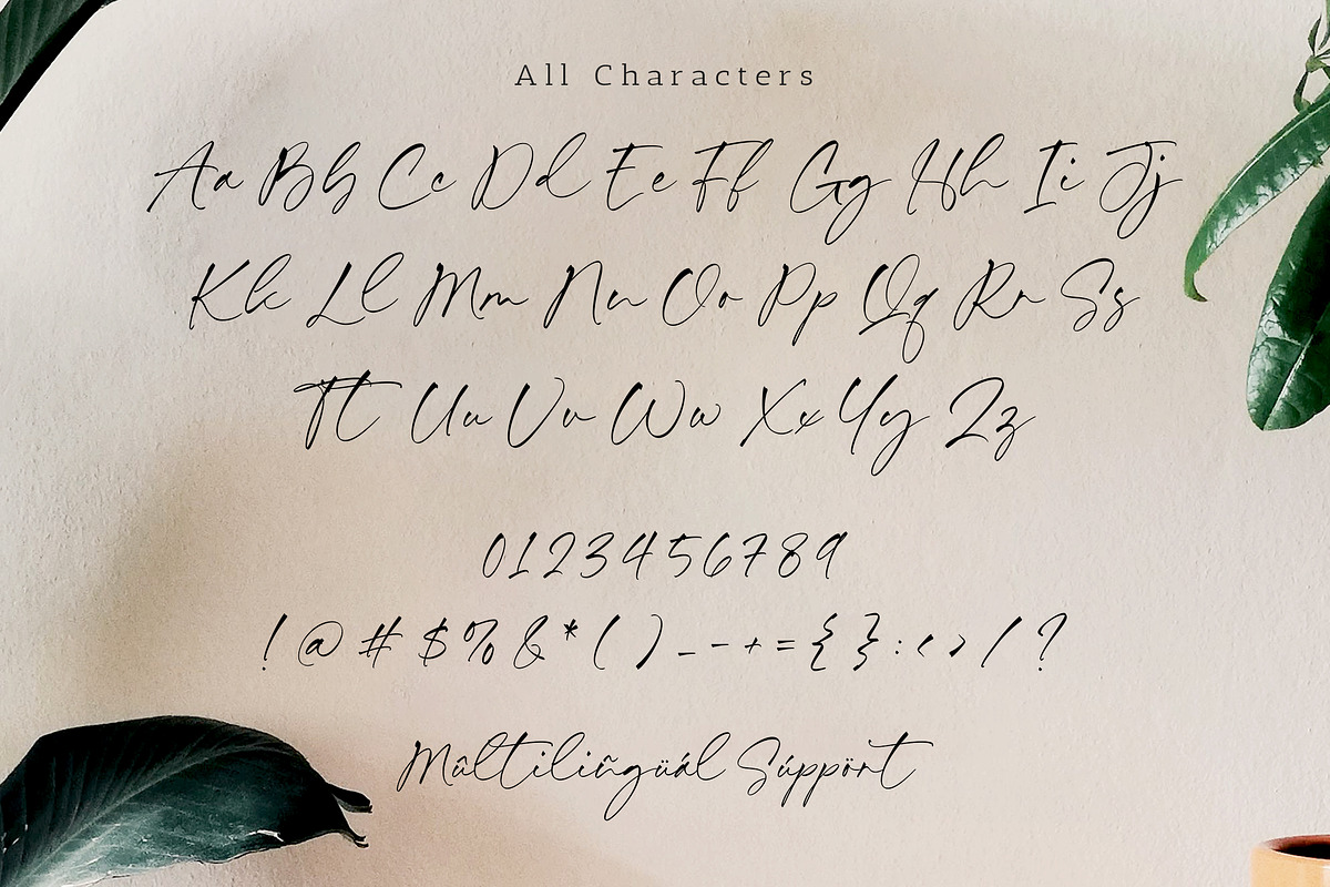 Hillary Nature Font, a Script Font by Timurtype (Photo 6 of 7)