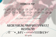 Las Pariellas Font Duo, a Script Font by Astageni (Thumbnail 10 of 10)