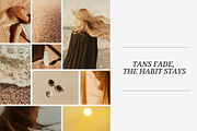 Golden Shore | 240 Stock Images, a Nature Photo by Tale.Haus (Thumbnail 11 of 19)