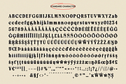 Bringbold Nineties - Serif Font, a Serif Font by Zarma Type (Thumbnail 12 of 13)