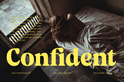 Volkgen Bold Modern Display Serif, a Serif Font by timelesstype.co (Thumbnail 3 of 15)