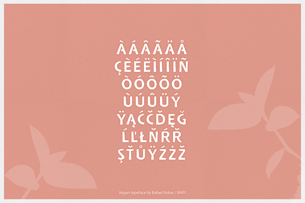 Vegan | sans serif display font preview 4