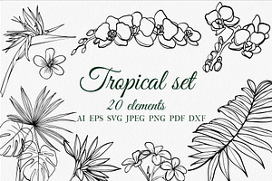 Tropical set SVG