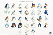 Winter Birds PNGs, an Animal Illustration by Markicha Art (Thumbnail 4 of 5)