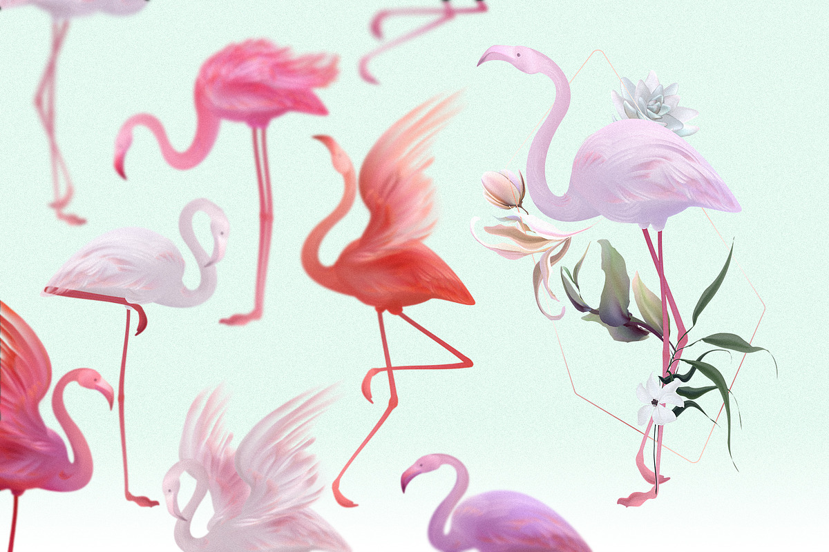Flamingo - tropical constructor, a Decorative Illustration by Gluiki (Photo 8 of 11)