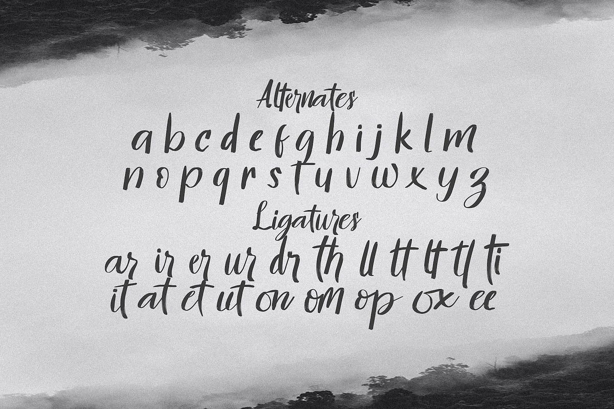 Hontizema - Handwritten Font, a Script Font by StringLabs (Photo 12 of 12)